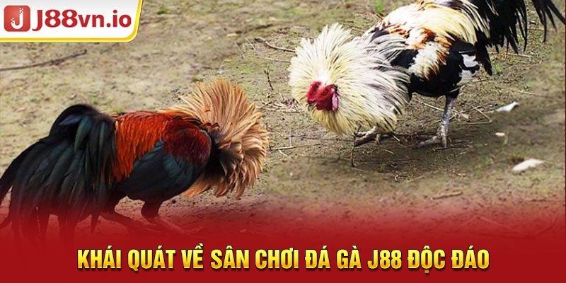 Khái quát về sân chơi đá gà j88 độc đáo