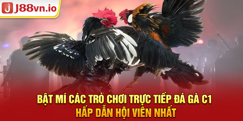 Bật mí các trò chơi trực tiếp đá gà C1 hấp dẫn hội viên nhất