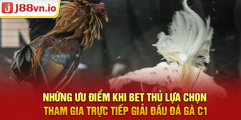 Những ưu điểm khi bet thủ lựa chọn tham gia trực tiếp giải đấu đá gà C1